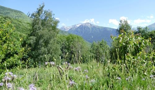 Double Room with Mountain View
