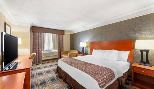 Executive King Room with Sofa Bed - Non-Smoking
