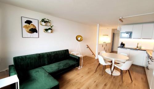 One-Bedroom Family Apartment
