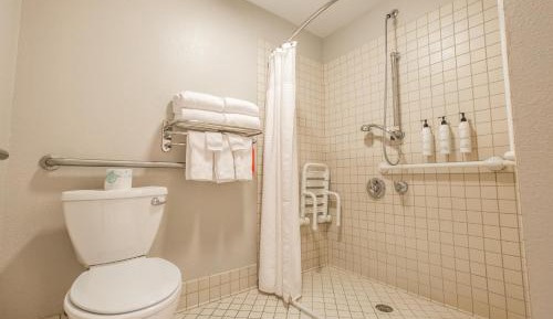 Queen Studio with Sofa Bed - Mobility Accessible with Roll-in Shower