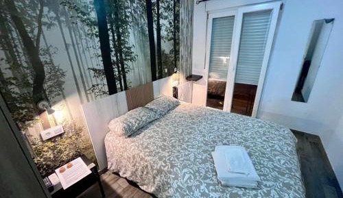 Double Room with Shared Bathroom