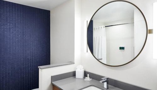 Suite, 1 King, Sofa bed