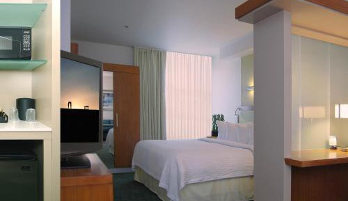 King Suite with Sofa Bed