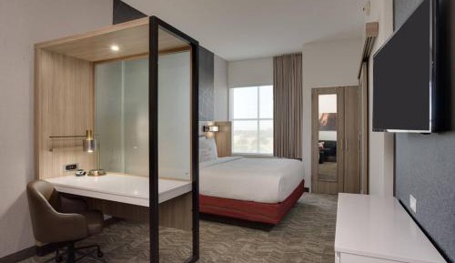 Suite, 1 King, Trundle bed