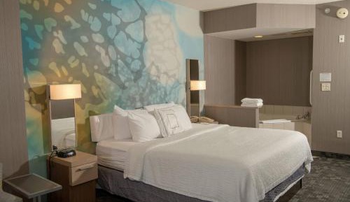Deluxe King Suite
