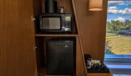 Deluxe King Suite