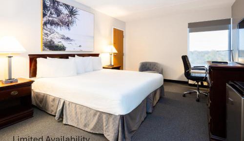 King Room - Non-Smoking