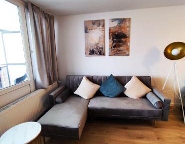 One-Bedroom Family Apartment