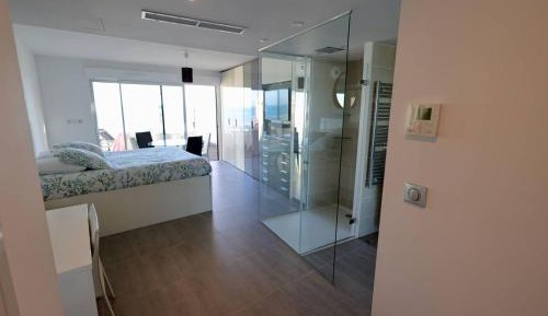 Superior One-Bedroom Apartment with Balcony