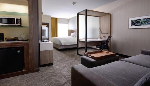 King Studio with Sofa Bed