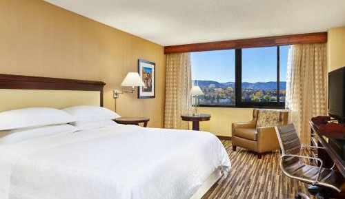 Standard King Room