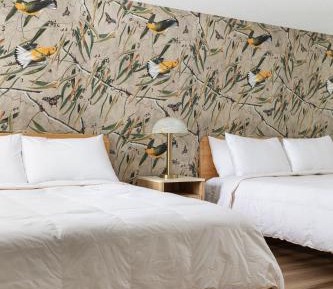 Queen Room