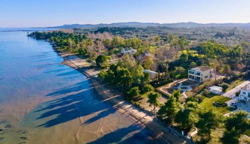 Villa - Beach Front