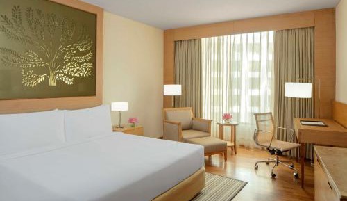 Executive Suite with Sofa Cum Bed and 20% discount on Food & Soft Beverage