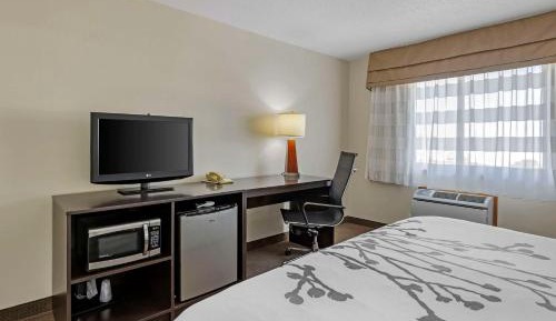 King Room - Non-Smoking