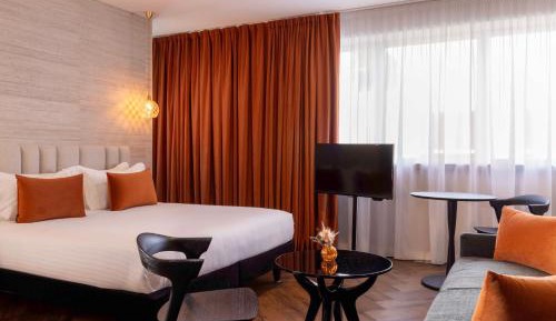 Junior Queen Suite