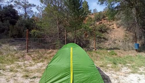 Standard Single Room with Mountain View