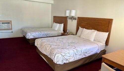 Deluxe Double Room (2 Adults + 1 Child)
