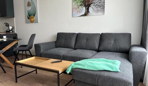 One-Bedroom Apartment with Park View
