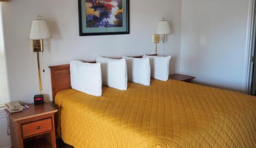 Premium King Room - Not Pet Friendly