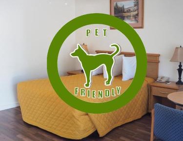 Standard Queen Room - Pet Friendly