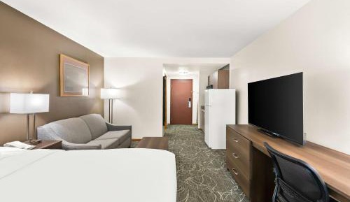 Standard King Bed Kitchenette with Sofa Bed