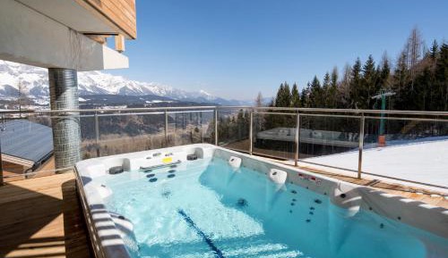 Premium Chalet #09 with Sauna & swim Spa