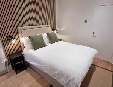 Deluxe One-Bedroom Apartment