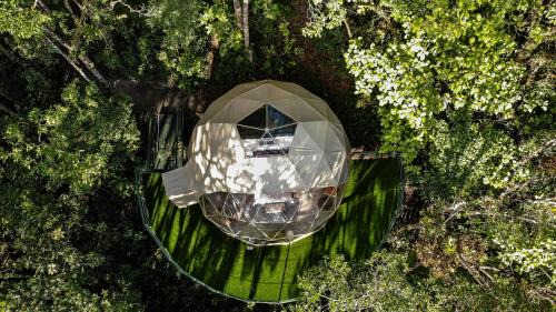 Premium tent with Balcony
