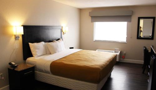 King Room - Non-Smoking