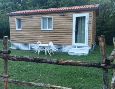 Mobile Home