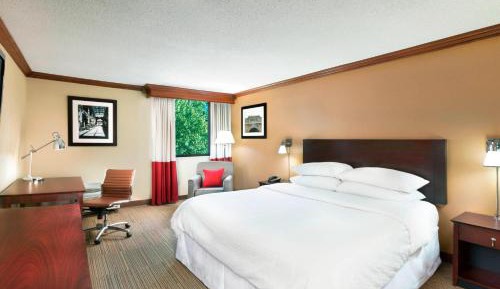 King Room - Non-Smoking