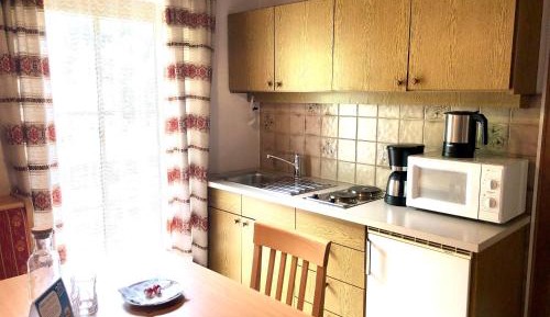 One-Bedroom Apartment with Shower