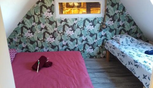 Standard Family Room