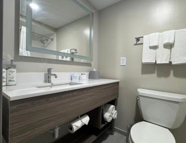 King Room - Mobility Access/Hearing Accessible