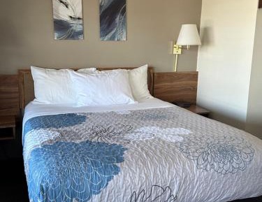 Queen Room with Garden View