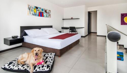 Family Apartment