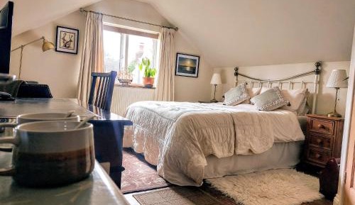 King Room with Garden View