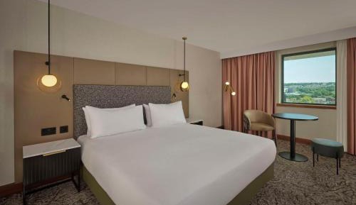 King Guest Room