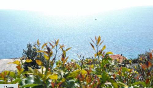 Studio Apartment with Sea View