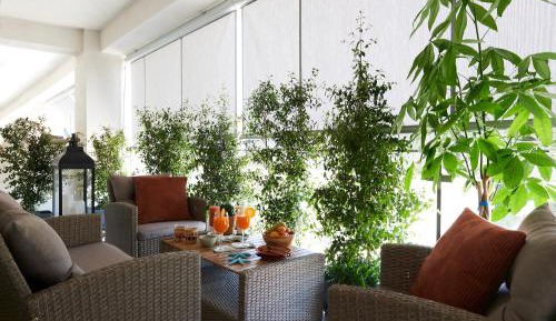 Suite Apartment