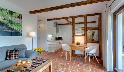 Superior Apartment with Terrace