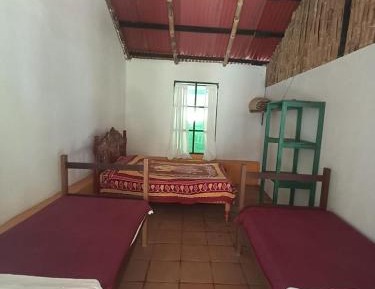 Mixed Dormitory Room