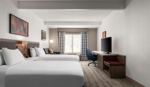 Evolution Queen Junior Suite