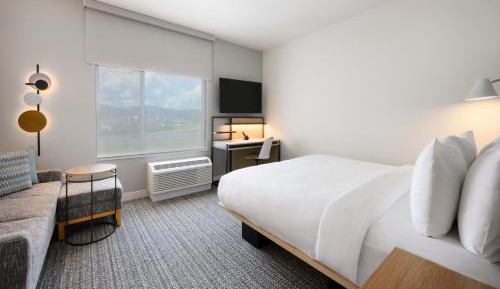 Studio King Suite with Sofa Bed