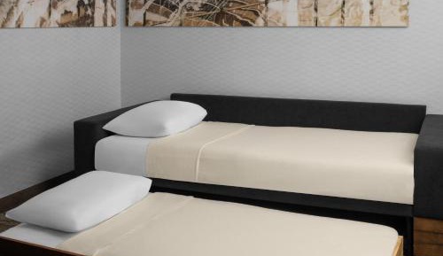 King Studio with Sofa Bed