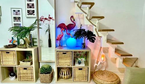 Duplex Studio