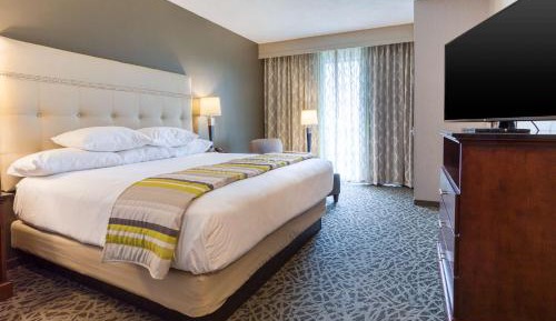 Deluxe King Suite