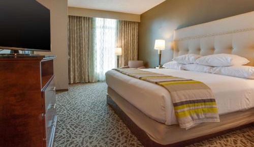 Deluxe King Suite