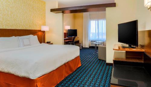 Suite, 1 King, Sofa bed
